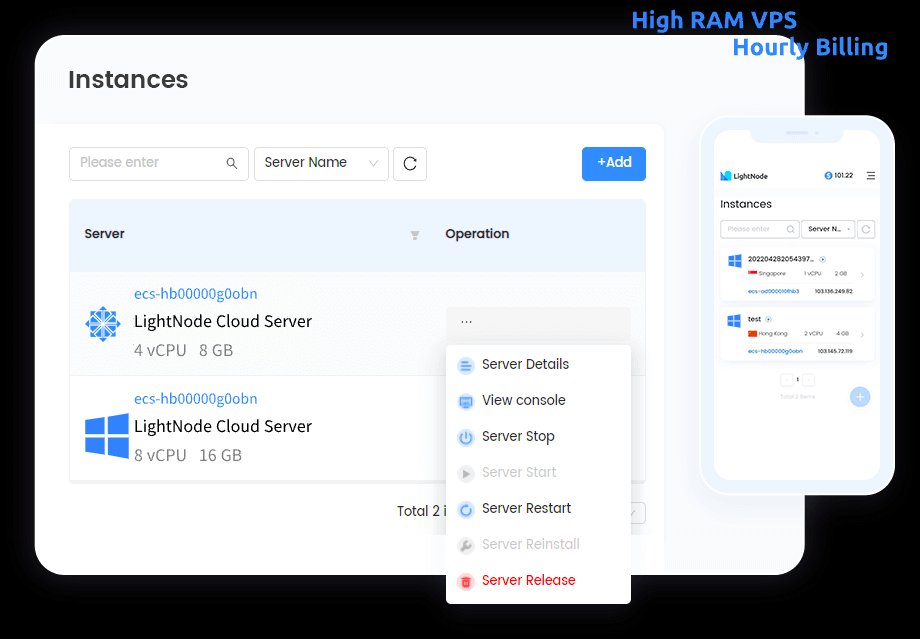 LightNode 8GB VPS