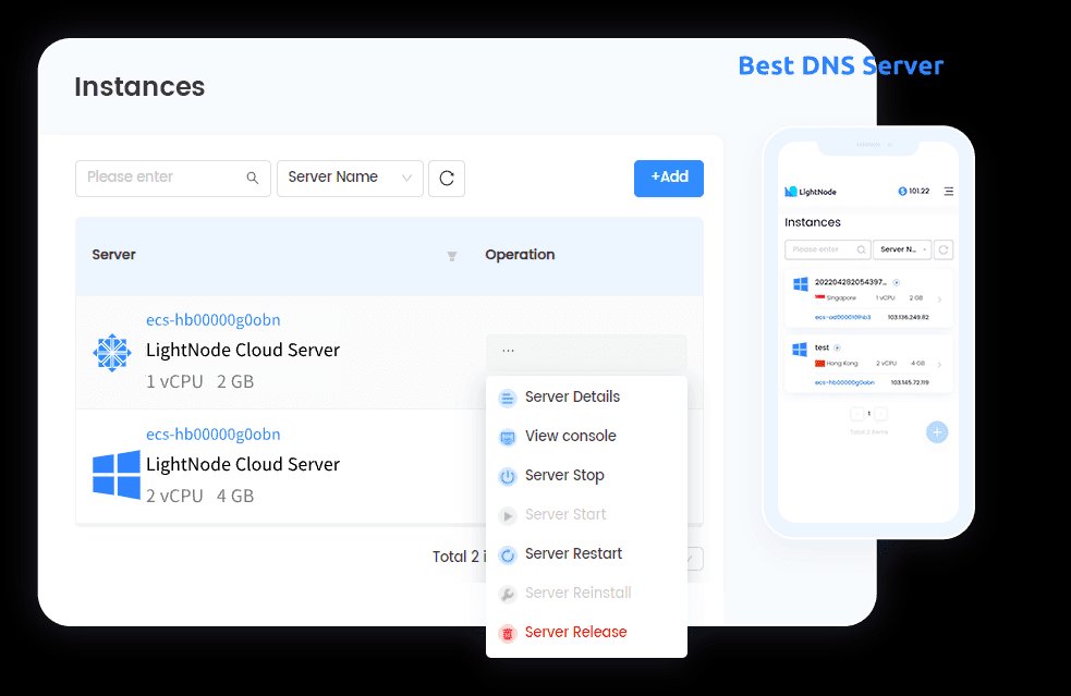 LightNode DNS Server