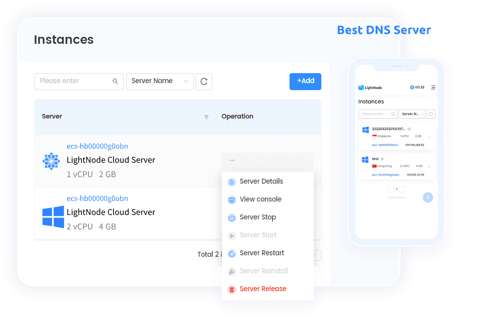 LightNode DNS Server