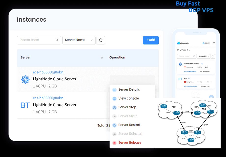 LightNode BGP VPS