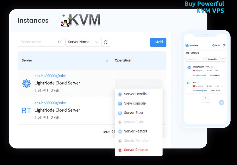 LightNode KVM VPS